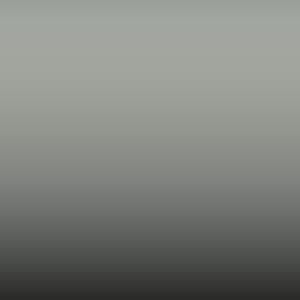 B L - Ascot Grey Xsc 217