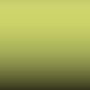 5016 - Lindgruen-Leaf Green