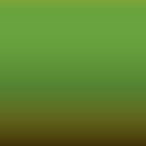 F9 - Grabber Lime
