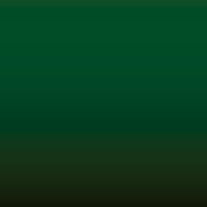 Y 1 XY - Larch Green