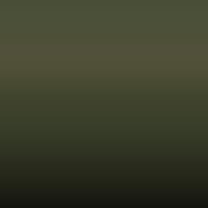 L 45/Q - Olijfgroen = Ral 6003