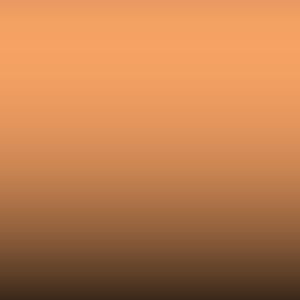 L D2A - Abrikoos -L997-