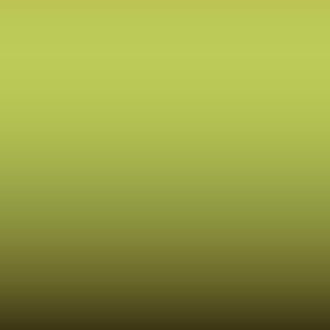 LAR - Lime Twist