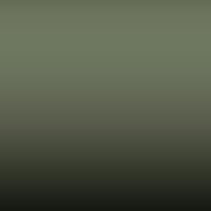 MG2 - Mangrove Green