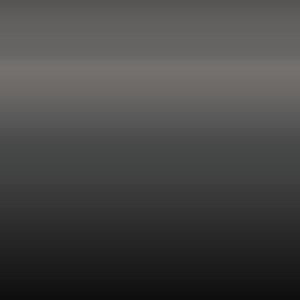 PE2 - Ecotronic Gray