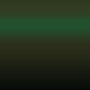 L Z6T - Pomerolgroen