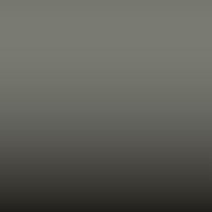 INT 5185 - Stone Grey (Interior 1c0)
