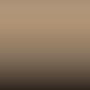 L272 - Saharabeige
