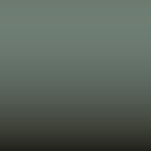 INT 5694 - Grey Green (Interior 6p7)