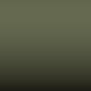 D12 - Tank Green
