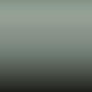 D40 - Light Green