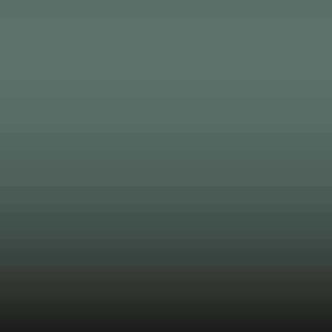 DJ0 - Olive Grey D.S.