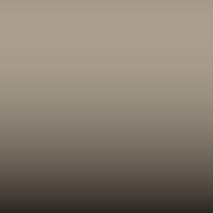INT 10 - Beige (Interior Cg2-Kj1)