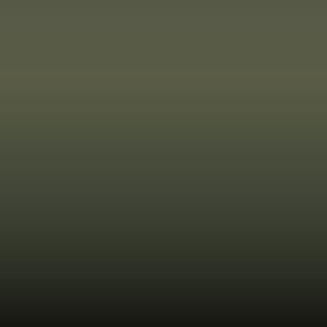 INT E03 T2 - Greenish Yellow (Interior E32)