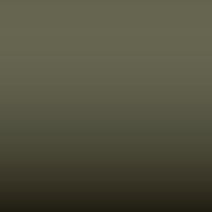 JS2 - Olive Grey