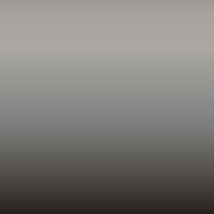 Lakstift Land Rover - Borasco Grey (1CN)