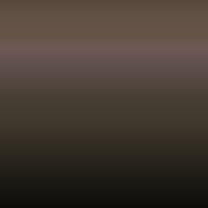 L Z8S - Madeirabraun - Madeira Brown