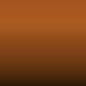 D 1 MN - Autumn Orange Xsc1497