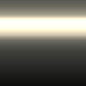 B29 - Savannenzilver