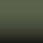 5105 - Salbeingruen-Poplar Green