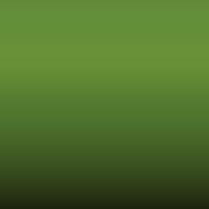 5122 - Hellgruen-Apple Green