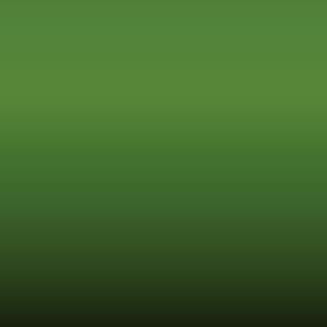 5123 - Palmengruen-Palm Green