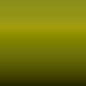 E FT - Java-Quadrant Green Xsc1379