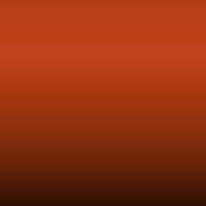 7855 - Sportorange