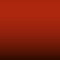 8133 - Rot