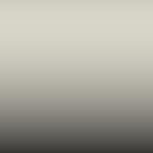 INTERIOR 3 - Light Grey Matt (Interni-Under Hood)