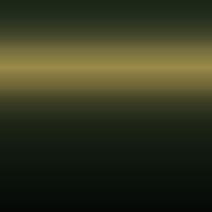 JS1 - Dark Olive Green
