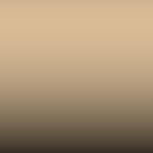 L F9B - Coffee White -9005-