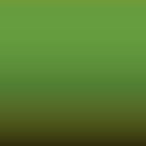 L G6D - Kiwi Green