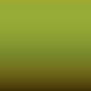 L G6E - Mamba Green