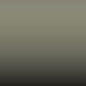 NF 8056 - Dorchester Grey
