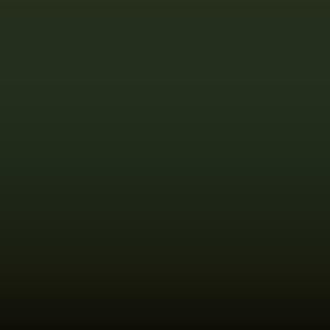 T42 - Brewster Green
