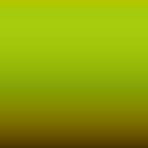 Porsche - Acidgreen (2M8)