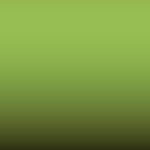 358 - Verde Claro