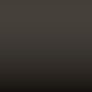 XSC 1820 - Brown Opaco-Matt