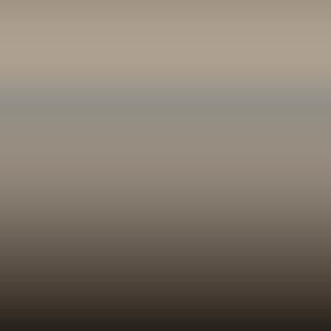 L Z1W - Siambeige