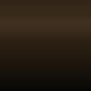 1S - Bronze Black (Yf - 6ase)