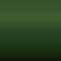 L 1T6 - Groen -Taro-