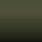 L45Q - Olijfgroen = Ral 6003