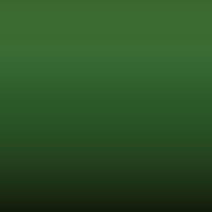 L 46/M - Grasgroen = RAL 6010