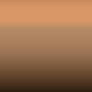 Porsche - Apricotmetallic (L M2X)