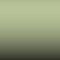 J-42025 - Willow Green