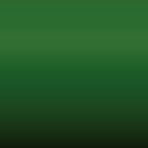 Renault - Vert Ptt Brd (098)