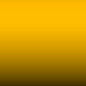 LE - Bold Yellow 2
