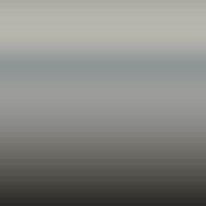 1K6 - Ash Grey -Dynamic Grey