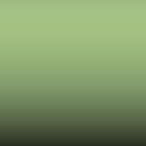 Lakstift Opel - Lindgruen-Pale Green (1GB)